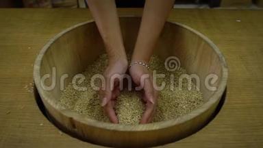 慢动作特写俯视图两只手握着收获的健康水稻